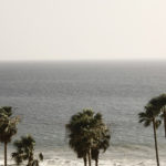 Colles Strandbild mit Palmen von Patrik Soetje