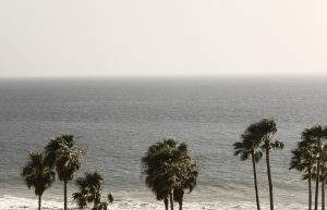 Colles Strandbild mit Palmen von Patrik Soetje