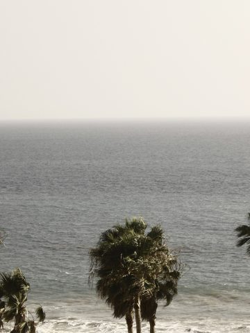 Colles Strandbild mit Palmen von Patrik Soetje