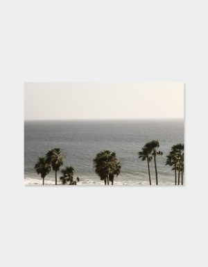 Schönes Bild "Palms" am Meer von LA in Venice