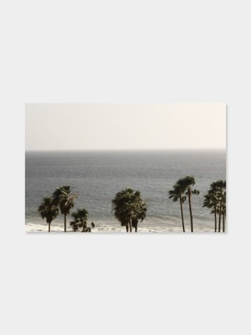 Schönes Bild "Palms" am Meer von LA in Venice