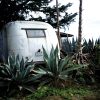 Hollywood-Hills-Jerome-Isma-ae-Bild-artig