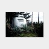 Hollywood-Hills-Jerome-Isma-ae-Bild-artig_2jpg