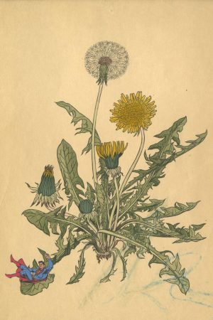 Superman-3-Isabelle-Kurz-Bild-artig