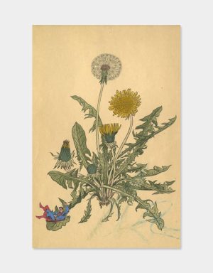 Superman-3-Isabelle-Kurz-Bild-artig-s