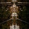 Das Bild »Alien III« von Roland Wagner