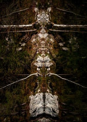 Das Bild »Alien III« von Roland Wagner