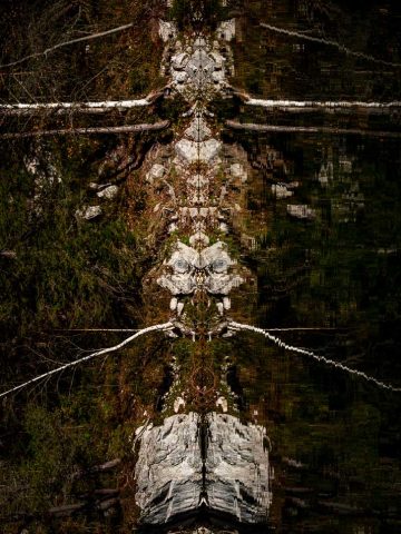Das Bild »Alien III« von Roland Wagner