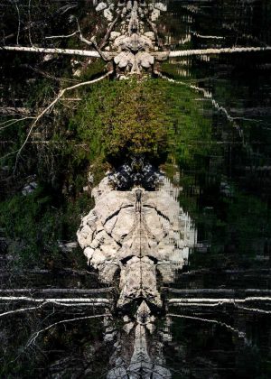 Das Bild »Alien II« von Roland Wagner