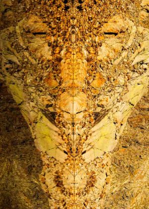 Das Bild »Alien I« von Roland Wagner