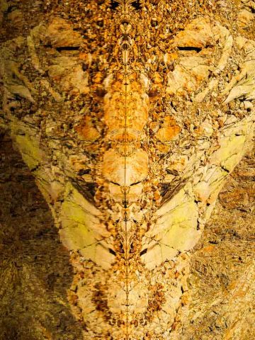 Das Bild »Alien I« von Roland Wagner