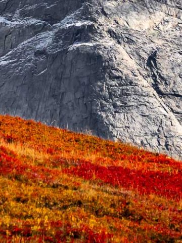 Das Bild »Felswand« von Roland Wagner