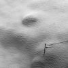 Muster/Linie Das Bild »First Line« von Roland Wagner