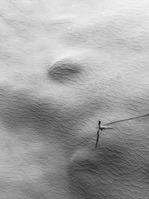 Muster/Linie Das Bild »First Line« von Roland Wagner