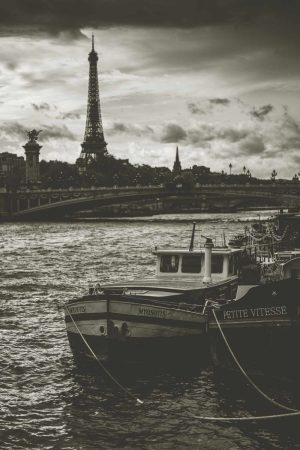 Das Bild Petite Vitesse von James Murray