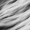Das Bild »Linien III« von Roland Wagner