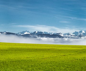 Das Bild »Schweizer Alpen« von Roland Wagner