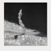 plain_schatten_40%_8px_5px_0_315grad