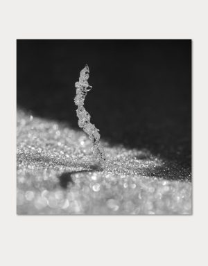 plain_schatten_40%_8px_5px_0_315grad