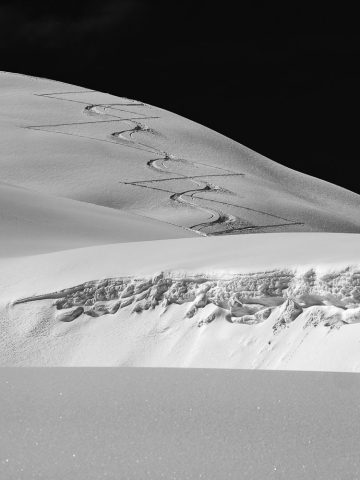 Das Bild »Solo« von Roland Wagner