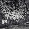 Das Bild »Struktur IV (S/W)« von Roland Wagner